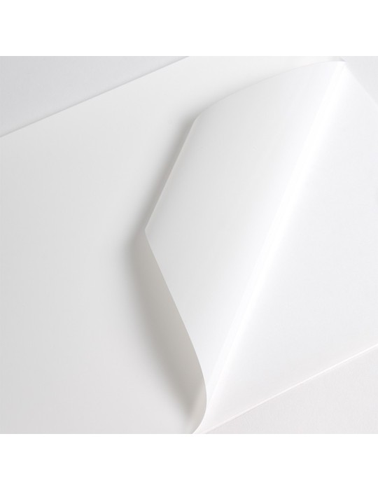 V201TR1 - Translucide Satin adh permanent incolore